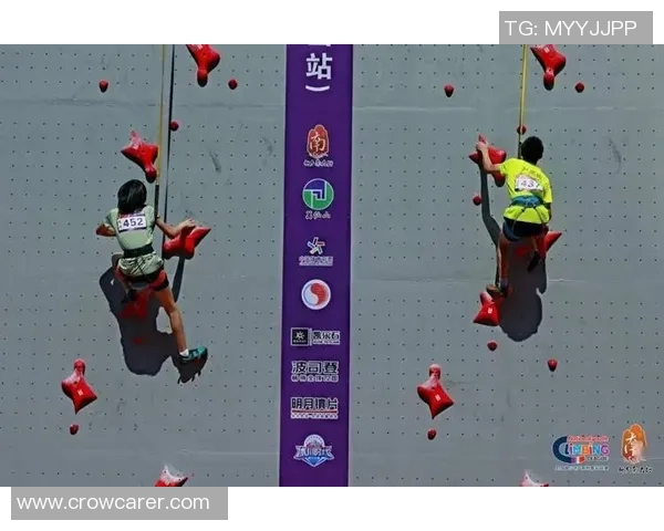 攀岩个人能力排行榜揭晓北京攀岩队荣获第五名佳绩